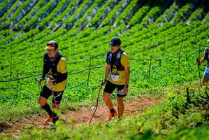 BIB: 1063
                            <button type="button" onclick="openModal(19163667)" class="btn btn-primary btn-sm float-right btn-popup" data-toggle="modal" data-target=".modal-high-quality">
                        <i class="fas fa-shopping-cart"></i> Add to Cart
                    </button>
                                            <button type="button" onclick="isThisMe(19163667, true)" class="btn btn-success btn-sm float-right btn-popup btn-isme hidden" data-toggle="tooltip" data-placement="bottom" title="นี่คือรูปของคุณใช่ไหม คลิกที่นี่เพื่อเอาเข้าอัลบั้ม">
                        <i class="fas fa-plus"></i> Add to album
                    </button>
                    <button type="button" onclick="isThisMe(19163667, false)" class="btn btn-warning btn-sm float-right btn-popup btn-isnotme hidden">
                        <i class="fas fa-ban"></i> Remove from album
                    </button>